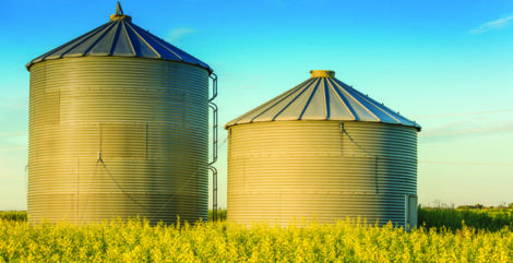 Grain Bins in a Canola Field